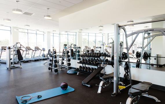 Gym workout room with squat rack, dumbells, curling bars, cardio machines, and open floor space 
